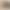 Summer and Spring Modal Threaded Seamless Vest Camisole Women's Outer Wear Inner Sleeveless Loose Base Shirt Large Size Top