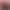 Children's Animal Performance Clothing Adult Animal Performance Clothing Kindergarten Stage Performance Cartoon Animal Clothing