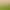 New Mini House House Moss Micro Landscape Small House Ecological Bottle DIY Material Succulent Flower Pot Decoration