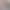 2025 Amazon's Popular Thick-Line Knitwear European and American Independent Station Internet Celebrity Curled High-Neck Bat-Sleeve Knitwear for Women