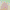 NIPPON PAINT/NIPPON latex PAINT PAINT 120 two-in-one PAINT interior wall PAINT wall PAINT NIPPON PAINT/NIPPON latex PAINT PAINT 120 two-in-one PAINT interior wall PAINT wall PAINT