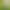 [Le Mei Toys] Supply West Knight Genuine 513 Simulation Voice Control Double Bird Lovers Bird Voice Control Toys Wholesale