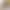 Women's High-Waisted Leggings, Modal Thin Style, Large Size, Elastic, Slim-Fit, Footed Pants for Outerwear, Wholesale Women's High-Waisted Leggings, Modal Thin Style, Large Size, Elastic, Slim-Fit, Footed Pants for Outerwear, Wholesale