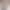 New Frameless Leopard Head Sunglasses 2510 Photochromic Uv Protection Sunglasses Cross-Border Ins Style Non-Prescription Glasses