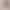 Women's Wool Coat, New Season Double-Sided Wool Bathrobe, Waist-Cinching Camel Wool Coat for Petite Figures, Mid-Length Women's Wool Coat, New Season Double-Sided Wool Bathrobe, Waist-Cinching Camel Wool Coat for Petite Figures, Mid-Length