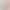 Shark Pants for Women, Summer Thin Style, Tummy Control, Tight-Fitting Leggings, Suitable for Outerwear, Gym Sports Shorts, Quick-Dry Yoga Cycling Pants Shark Pants for Women, Summer Thin Style, Tummy Control, Tight-Fitting Leggings, Suitable for Outerwear, Gym Sports Shorts, Quick-Dry Yoga Cycling Pants