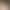 Cute Animal Cartoon Semi-Handmade Wearable Nails with High-End Cat-Eye Effect, Elegant and Flattering, High Aesthetic Appeal, Removable Nail Stickers