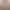 2026 Aliexpress Amazon Cross-Border Best-Selling Lace-Trimmed Top Model 2026 Aliexpress Amazon Cross-Border Best-Selling Lace-Trimmed Top Model