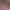 New Spring Barbie Powder Cartoon Baseball Cap Girls Long Sleeve Trousers Home Clothes suit Outer Wear New Spring Barbie Powder Cartoon Baseball Cap Girls Long Sleeve Trousers Home Clothes suit Outer Wear