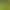 Cross-border solar-powered bluebell ground lights, outdoor waterproof garden lights, garden landscape decorative LED lights, ambiance lights Cross-border solar-powered bluebell ground lights, outdoor waterproof garden lights, garden landscape decorative LED lights, ambiance lights