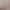 9003 Leopard Print Sexy Lingerie for Small Busts, Seamless Pullover Camisole for Women