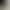French-Style High Heels with Pointed Toe and Shallow Mouth in Mustard Green, 2026 New Model, Single-Strap High Heels, Stunning Shoes to Pair with Skirts