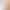 High-Quality Nail Art Brush Set for Line Drawing, Phototherapy, and French-Style Round Head Flower Painting Nail Art Tool Kit