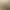 De Men's Clothing | 2025 Spring/Summer New European and American Style Men's Short Sleeve Turtleneck 350Gfog Earth Tone Heavyweight Men's 350g.