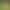 Xinjiang Grassland Travel Outfit: Goose Yellow Halter Neck Strap Dress for Women, Summer High-End Beach Vacation Long Dress