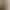 Lagur＜Wheat Wave Yellow＞Natural Style, Skin-Brightening Texture, Thick Knitted Scarf for Women, Winter Coarse Knit, High-End Feel