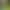 Micro-Landscape Simulated Insect Caterpillars DIY Decoration Accessories Mini Desktop Ornaments Dragon Boat Festival Micro-Landscape Micro-Landscape Simulated Insect Caterpillars DIY Decoration Accessories Mini Desktop Ornaments Dragon Boat Festival Micro-Landscape