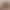 European and American Foreign Trade New Cotton Vest for Women, Fashionable Versatile Cotton Warm Vest, Short Leopard Print Sleeveless Jacket