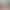 Amazon Castle Palace Rapunzel theme rainbow birthday scene layout banner photography background cloth