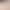 Zeriluna Floral Lace V-Neck Triangle Cup Lingerie Fashionable Sexy Body-Hugging Soft Skin-Friendly Breathable