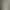 Maine  Kitten Live Animal Smoke Gray Black Brown Tabby Maine  Long-Haired Kitten Live Cat Pet Kitten