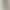 Polo Collar Sweatshirt for Women 2026 Spring and Autumn Short Jacket for Petite Figures Striped Long-Sleeve Pullover Top Trendy