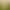 Yellow Gauze Curtain Autumn New Encrypted Wedding Background Decoration Kindergarten Environmental Creation Mesh Fabric Birthday Party