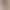 Spring and Autumn New Fashion Styles for Early Autumn Work and Commuting, Suitable for Attending Important Occasions, Elegant and Appropriate, Apricot-Colored Shirt for Women