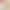 Lace camisole women's summer inner and outer wear versatile Korean style trendy Sexy thin lace bottoming shirt