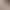 Tea Horse Road Series 2026 New Autumn/Winter Brown Coffee Color Gradient Nail Art Gel