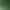 2026 New Tea Anxi Tieguanyin Tea, High Mountain Oolong Tea with Strong Aroma, Original Loose-Packed Wholesale 2026 New Tea Anxi Tieguanyin Tea, High Mountain Oolong Tea with Strong Aroma, Original Loose-Packed Wholesale