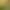 Household Lithium Battery Handheld Hedge Trimmer Mini Electric Hedge Trimmer Lawn Mower Hedge Trimmer Pruning Shear Tool