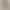 10298 cross-border Europe and the United States Amazon fashion low waist autumn and winter thin velvet slim all-match tapered leather pants