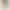 2026 Summer New Women's Cargo Shorts Loose Casual Drawstring Knee-Length Shorts European and American Cross-Border Trendy Style