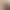 Old Money Style Deep Coffee Color Cotton-Linen Straight-Leg Casual Pants for Women, Summer 2026 New Thin Loose Fit with a Relaxed Drape Old Money Style Deep Coffee Color Cotton-Linen Straight-Leg Casual Pants for Women, Summer 2026 New Thin Loose Fit with a Relaxed Drape