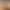 American-Style Spicy Girl Orange Striped Sleeveless Camisole for Women, Summer Sexy Backless Outerwear or Inner Tube Top