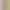 Birthday Party Decoration Colorful Candy Color Strip Rain Curtain Background Arrangement Rainbow Transparent Rain Strip Curtain Door Curtain Birthday Party Decoration Colorful Candy Color Strip Rain Curtain Background Arrangement Rainbow Transparent Rain Strip Curtain Door Curtain
