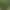 Micro Landscape Ornaments Owl Bonsai Decorative Succulent Ornaments Zakka Mini Animal Ornaments Cute Pet
