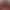 Wedding Red Golden Velvet Fabric Wedding Proposal Scene Birthday Decoration Wedding Stage Background Layout