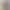 40S Cotton Ammonia Jersey Knitted Camouflage Fabric 180g Camouflage Fabric Odell Combed Cotton T-Shirt Military Training Fabric 40S Cotton Ammonia Jersey Knitted Camouflage Fabric 180g Camouflage Fabric Odell Combed Cotton T-Shirt Military Training Fabric