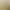 Wholesale Double-Bloodline Golden Retriever Puppies, Live Dogs, Guide Dogs, Patrol Working Dogs, Companion Pet Dogs Wholesale Double-Bloodline Golden Retriever Puppies, Live Dogs, Guide Dogs, Patrol Working Dogs, Companion Pet Dogs