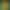 [399 People Have Collected It] Brazil Jersey 2026 World Cup Jersey Neymar and Vinicius Player Version Long-Sleeved Jersey