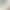 Women's Safety Shorts, Three-Quarter Length, Ice Silk Nylon Shark Pants with Cotton Crotch, Anti-Exposure, Thin Summer Leggings for Women