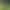 Summer's stunning green French-style mesh camisole dress for women, new popular model with a high-end feel, waist-cinching vacation long dress