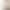 Cross-Border One-Piece Fixed Cup Summer Yoga Fitness Clothing Tops for Women Professional Running Sports Short-Sleeved T-Shirts with a High-End Feel
