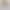 Simulation turtle back leaf photo plant leaves wedding flower arrangement leaves green leaf decoration wedding sunflower kindergarten