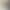 Simulation Quality Cotinus Cotinus Smoke Tree Fog Lover Dream Hazy Flocculent Flower Design Props Simulation Quality Cotinus Cotinus Smoke Tree Fog Lover Dream Hazy Flocculent Flower Design Props