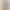 White Flared Jeans for Women, Summer 2025 Trendy Versatile New High-Waisted Drapey Slimming Bootcut Pants