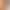 Foreign Trade Australian Traceable Cotton Seamless Briefs for Women, Low-Waist, Skin-Friendly, Breathable, Close-Fitting Underwear, High Elasticity, Simple Design