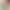 Women's Lingerie for Small Busts, Anti-Sagging, Anti-Expansion, Seamless, Wireless, Autumn and Winter Brushed Fabric Bra